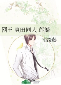 网王 真田同人 莲漪